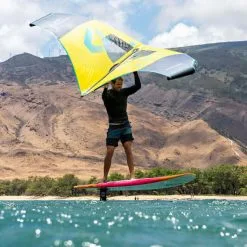 Planche Wing / Sup / Wind Foil Fanatic Bee 2022 -Pagaie Debout bee4 26 08 2021 12 38 45