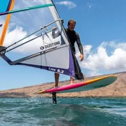 Planche Wing / Sup / Wind Foil Fanatic Bee 2022