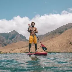 PAGAIE FANATIC CARBON 80 VARIO -Pagaie Debout f2 03 12 2019 09 51 55