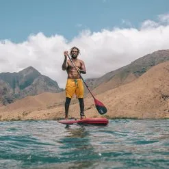 PAGAIE FANATIC CARBON 80 FIXE -Pagaie Debout f3 03 12 2019 10 04 18